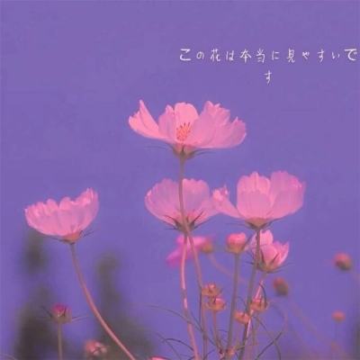 金沙威尼斯(wns)欢乐娱人城